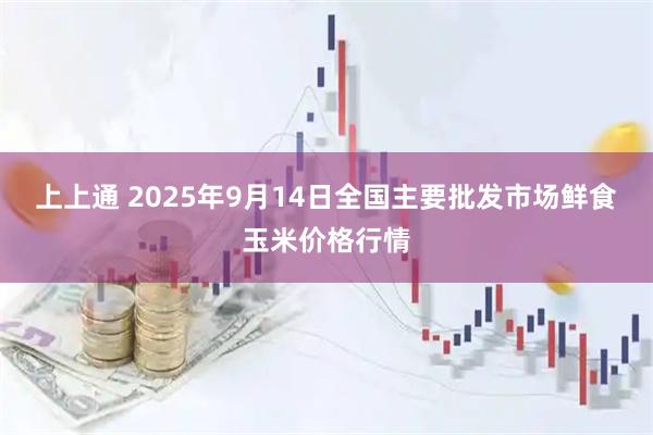 上上通 2025年9月14日全国主要批发市场鲜食玉米价格行情
