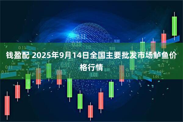 钱盈配 2025年9月14日全国主要批发市场鲈鱼价格行情