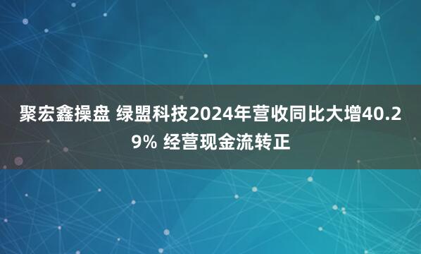 聚宏鑫操盘 绿盟科技2024年营收同比大增40.29% 经营现金流转正