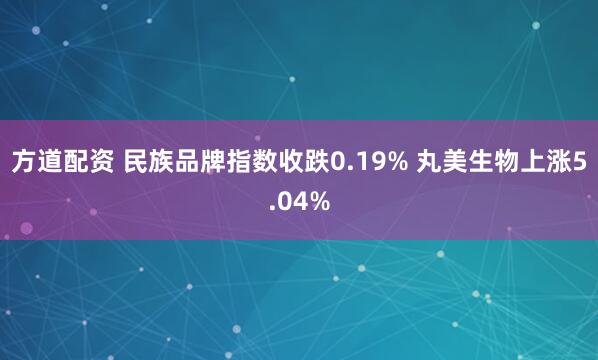 方道配资 民族品牌指数收跌0.19% 丸美生物上涨5.04%