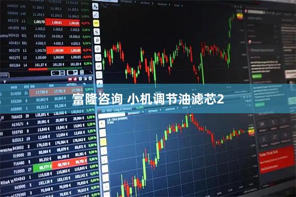 富隆咨询 小机调节油滤芯2