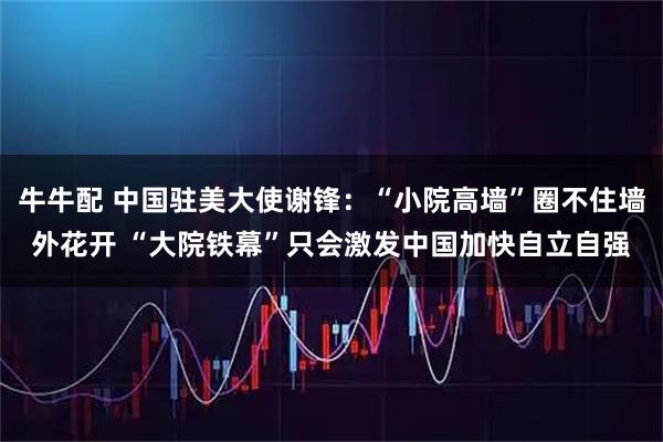 牛牛配 中国驻美大使谢锋：“小院高墙”圈不住墙外花开 “大院铁幕”只会激发中国加快自立自强